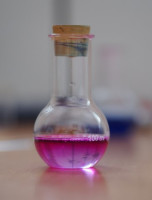/album/a105/p1010092-small-jpg7/